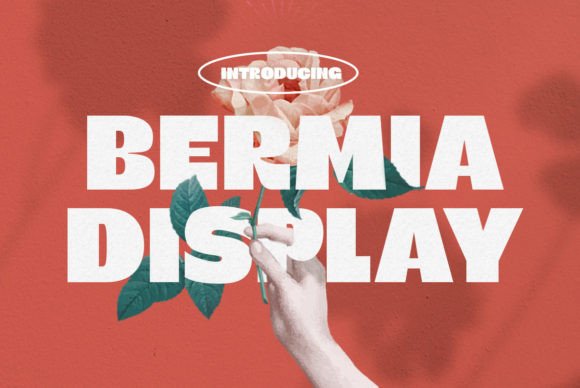 Bermia: The Bold Display Typeface for Handmade Brands