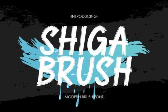 Shiga Brush: The Bold Display Typeface for Scroll-Stopping Campaigns